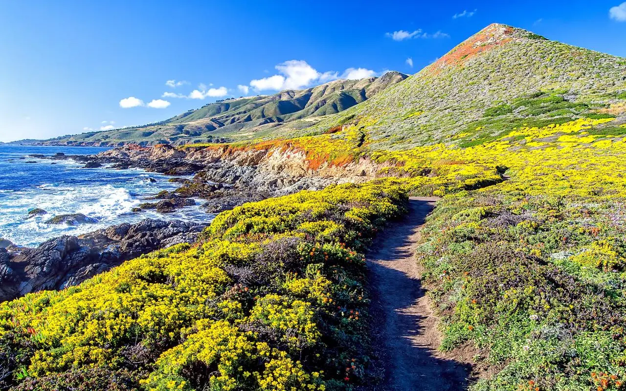 智能系统先进